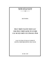 Phát triển nguồn nhân lực cho phát triển kinh tế - xã hội các huyện miền núi tỉnh Hà Tĩnh  Luận văn ThS. Kinh doanh và quản lý