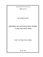 Hợp đồng mua bán hàng hóa vô hiệu và hậu quả phát sinh