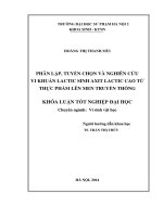 Phân lập, tuyển chọn và nghiên cứu vi khuẩn lactic sinh axit lactic cao từ thực phẩm lên men truyền thống