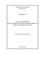 Quyết định hình phạt đối với người chưa thành niên phạm nhiều tội trong luật hình sự Việt Nam