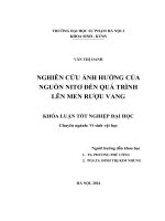 Nghiên cứu ảnh hưởng của nguồn nitơ đến quá trình lên men rượu vang