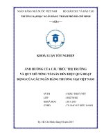 ẢNH HƯỞNG CỦA CẤU TRÚC THỊ TRƯỜNG VÀ QUY MÔ TỔNG TÀI SẢN ĐẾN HIỆU QUẢ HOẠT ĐỘNG CỦA CÁC NGÂN HÀNG THƯƠNG MẠI VIỆT NAM