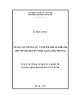 Nâng cao năng lực cạnh tranh Ngân hàng nông nghiệp và phát triển nông thôn Việt Nam - Chi nhánh Ninh Giang tỉnh Hải Dương