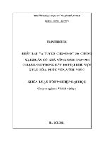 Phân lập và tuyển chọn một số chủng xạ khuẩn có khả năng sinh cellulase trong đất đồi tại khu vực xuân hòa, phúc yên, vĩnh phúc