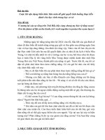 bài dự thi vận dụng kiến thức liên môn giải quyết tình huống thực tiễn Vì tương lai của sự sống trên trái đất, hãy cùng chung tay bảo vệ tầng ozone