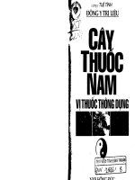 cây thuốc nam vị thuốc thông dùng