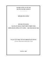 Rủi ro tín dụng tại Ngân hàng TMCP Phát triển Nhà Đồng bằng Sông Cửu Long - Chi nhánh Hà Nội