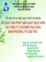 Tiểu luận môn học Ngăn ngừa ô nhiễm công nghiệp
