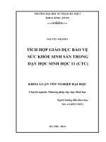 Tích hợp giáo dục bảo vệ sức khoẻ sinh sản trong dạy học sinh học 11 (CTC)