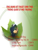 Ứng dụng kỹ thuật sinh thái trong quản lý môi trường