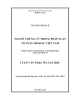 Nguồn chứng cứ trong pháp luật tố tụng hình sự Việt Nam