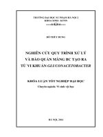 Nghiên cứu quy trình xử lý và bảo quản màng BC tạo ra từ vi khuẩn gluconacetobacter