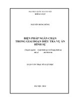Biện pháp ngăn chặn trong giai đoạn điều tra vụ án hình sự