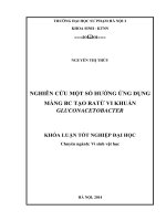 Nghiên cứu một số hướng ứng dụng màng BC tạo ra từ vi khuẩn gluconacetobacter