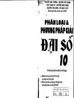 phân loại và phương pháp giải đại số 10