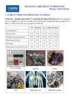 Khái quát về nhóm nitơ