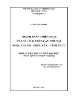 Thành phần thiên địch của sâu hại trên cây chè tại ngọc thanh   phúc yên   vĩnh phúc