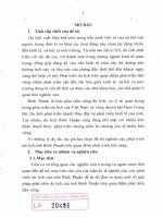 Phát triển du lịch tỉnh Bình Thuận trên quan điểm phát triển bền vững (Bản tóm tắt)