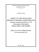 Nghiên cứu một số đặc điểm hình thái và sinh học loài bọ xít hút máu (triatoma rubrofasciata (de geer, 1773) (heteroptera reduviidae)) trong phòng thí nghiệm