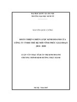 Hoàn thiện chiến lược kinh doanh của Công ty TNHH Thế Hệ Mới Vĩnh Phúc giai đoạn 2014-2020