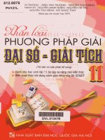 Phân loại phương pháp giải đại số giải tích 11