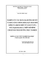 Nghiên cứu tác dụng hạ đường huyết và khả năng chống rối loạn trao đổi lipid của dịch chiết từ loài vú sữa đất (euphorbia hirta l ) trên mô hình chuột đái tháo đường thực nghiệm