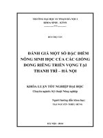 Đánh giá một số đặc điểm nông sinh học của các giống dong riềng triển vọng tại thanh trì   hà nội