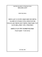 Phân lập và tuyển chọn một số chủng xạ khuẩn có khả năng sinh enzyme cellulase trong đất trồng trọt khu vực xuân hoà, phúc yên, vĩnh phúc