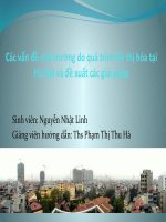 Các vấn đề môi trường do quá trình đô thị hóa