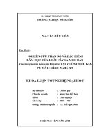 Nghiên cứu phân bố và đặc điểm lâm học của loài cây Sa mộc dầu (Cunninghamia konishii Hayata) tại vườn quốc gia Pù Mát - tỉnh Nghệ An