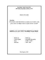 Ứng dụng chế phẩm poly-gamma-glutamic acid (γ-PGA) để cải thiện chất lượng nước cam ép.