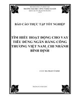TÌM HIỂU HOẠT ĐỘNG CHO VAY TIÊU DÙNG NGÂN HÀNG CÔNG THƯƠNG VIỆT NAM_CHI NHÁNH BÌNH ĐỊNH