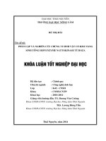 Phân lập và nghiên cứu chủng vi sinh vật có khả năng sinh tổng hợp enzyme nattokinase từ boza.