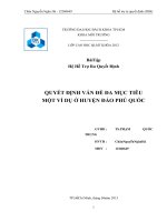 BàiTập Hệ Hỗ Trợ Ra Quyết Định QUYẾT ĐỊNH VẤN ĐỀ ĐA MỤC TIÊU MỘT VÍ DỤ Ở HUYỆN ĐẢO PHÚ QUỐC