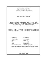 Nghiên cứu đặc điểm hình thái và sinh thái của các loài cây làm phẩm màu thực phẩm tại huyện Bắc Quang tỉnh Hà Giang