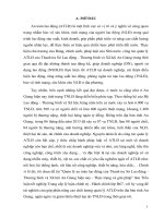 Quản lý an toàn lao động của Thanh tra Sở Lao động - Thương binh và Xã hội An Giang hiện nay - Thực trạng và giải pháp