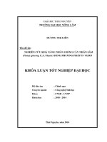 Nghiên cứu khả năng nhân giống cây nhân sâm (panax ginseng c a  meyer) bằng phương pháp in vitro