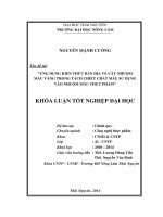 Ứng dụng kiến thức bản địa về cây nhuộm màu vàng trong tách chiết chất màu sử dụng vào nhuộm màu thực phẩm