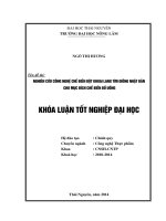 Nghiên cứu công nghệ chế biến bột khoai lang tím giống Nhật Bản cho mục đích chế biến đồ uống