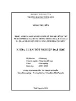 Khảo nghiệm một số biện pháp kỹ thuật phòng trừ Mối (Isoptera) hại rừng trồng Keo xen Bạch đàn tại xã Phấn Mễ, huyện Phú Lương, tỉnh Thái Nguyên