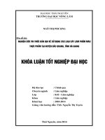 Nghiên cứu tri thức bản địa về sử dụng các loại cây làm phẩm màu thực phẩm tại huyện Bắc Quang, tỉnh Hà Giang.