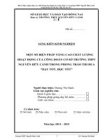 SÁNG KIẾN KINH NGHIỆM  MỘT SỐ BIỆN PHÁP NÂNG CAO CHẤT LƯỢNG HOẠT ĐỘNG CỦA CÔNG ĐOÀN CƠ SỞ TRƯỜNG THPT NGUYỄN HỮU CẢNH TRONG PHONG TRÀO THI ĐUA “DẠY TỐT, HỌC TỐT”