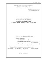 SÁNG KIẾN KINH NGHIỆM  GIÁO DỤC HỌC SINH GIỮ GÌN CẢNH QUAN NHÀ TRƯỜNG XANH – SẠCH – ĐẸP