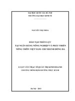 Đào tạo nhân lực tại Ngân hàng Nông nghiệp và Phát triển Nông thôn Việt Nam - Chi nhánh Đống Đa