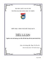 Nghiên cứu ảnh hưởng của biến đổi khí hậu đến hệ sinh thái đô thị