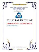 Báo cáo thực tập HTX Gốm sứ Thái Dương