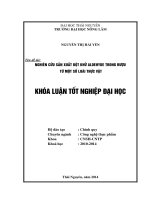 Nghiên cứu sản xuất bột khử Aldehyde trong rượu từ một số loài thực vật