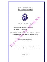 Phát triển nguồn nhân lực tại tổng công ty cổ phần sông hồng giai đoạn 2013 2017