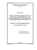 Một số giải pháp nhằm nâng cao năng lực cạnh tranh của các doanh nghiệp Việt Nam trong quá trình hội nhập kinh tế quốc tế