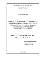 Nghiên cứu ảnh hưởng của mật độ cấy, số dảnh cấy khóm và mức phân bón N2 đến một số đặc tính nông sinh học của giống lúa nếp phu thê trong vụ Xuân năm 2013